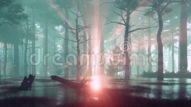 雾蒙蒙的黄昏4K森林沼泽上的萤火虫灯